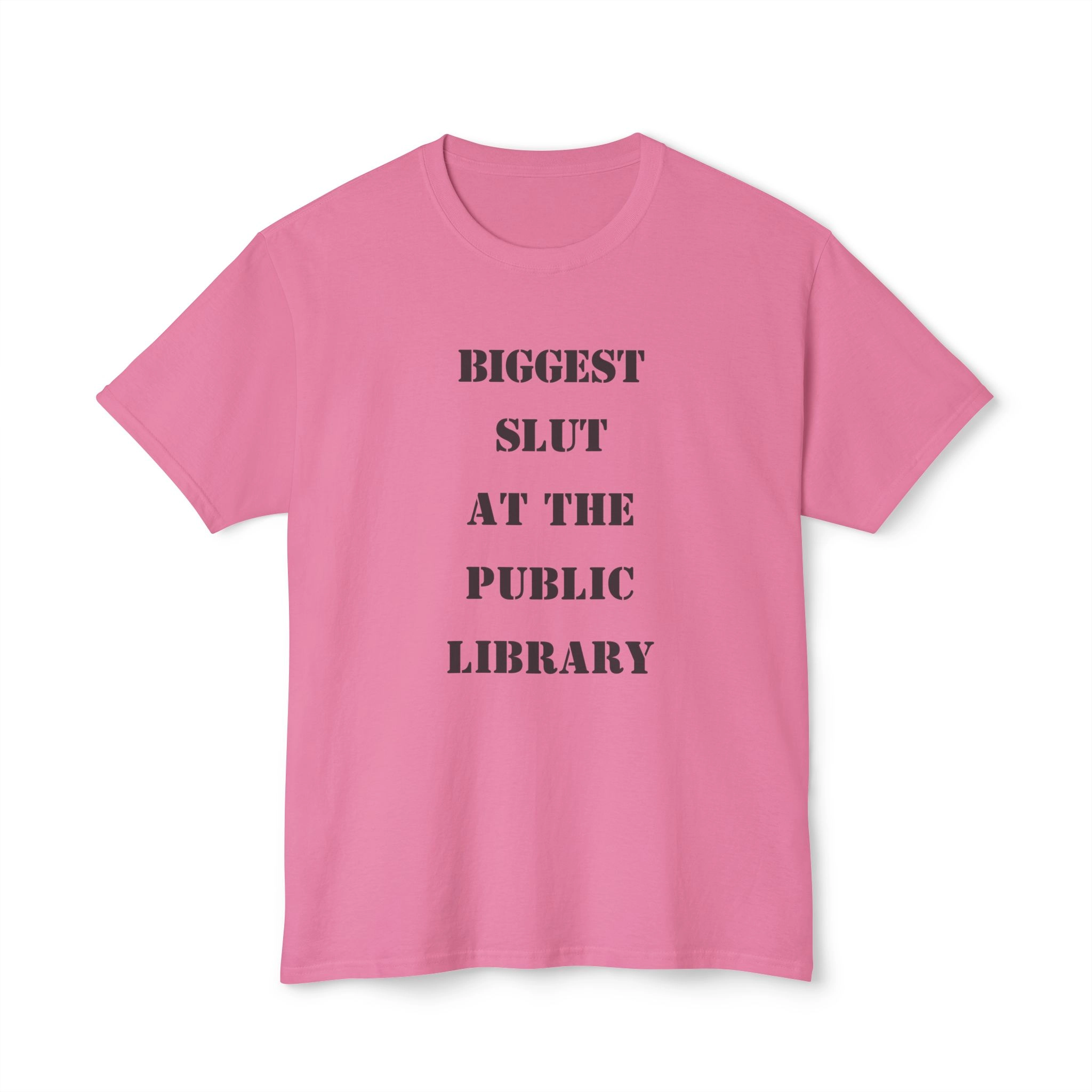 Biggest Slut at the Public Library Shirt