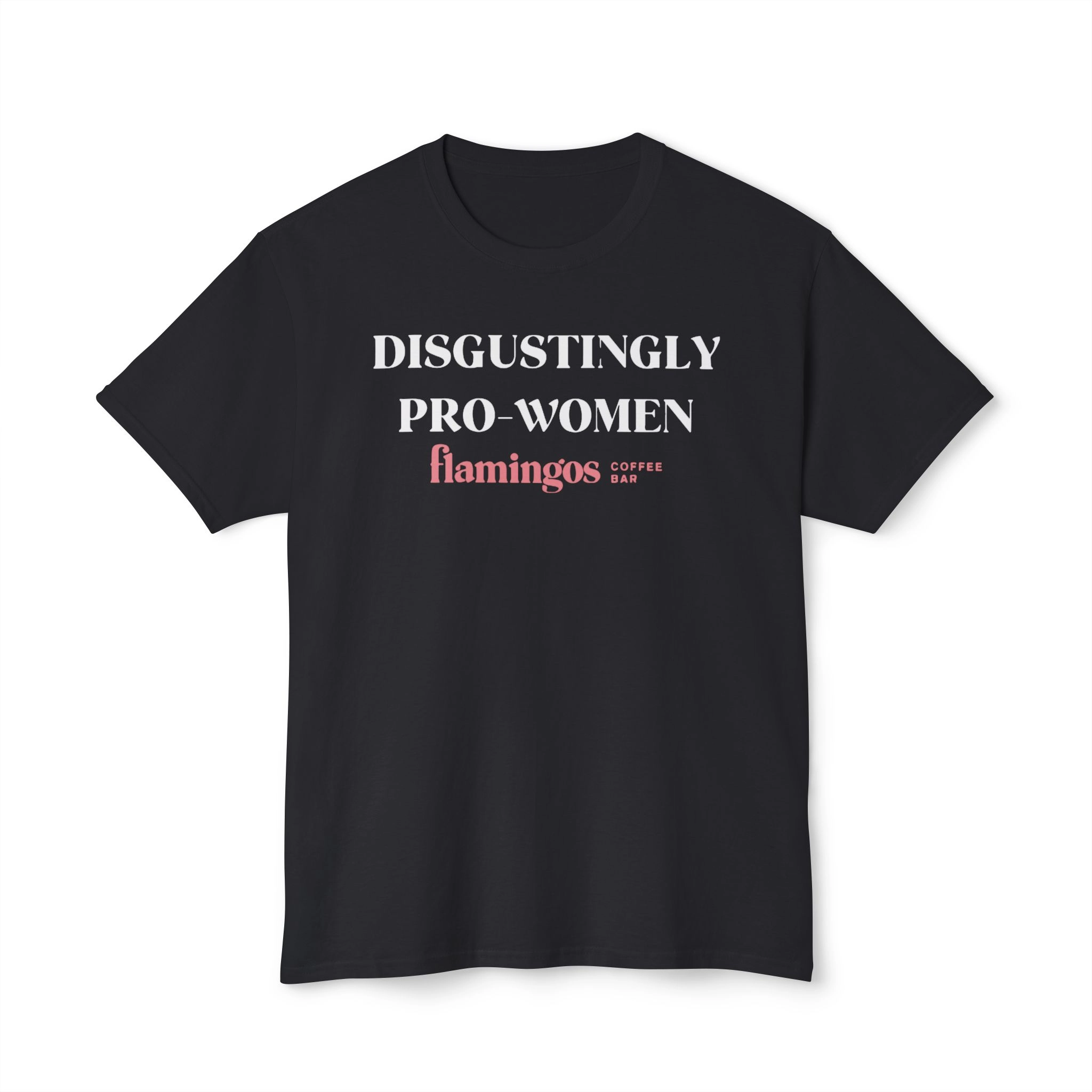 Disgustingly Pro-Women T Shirt