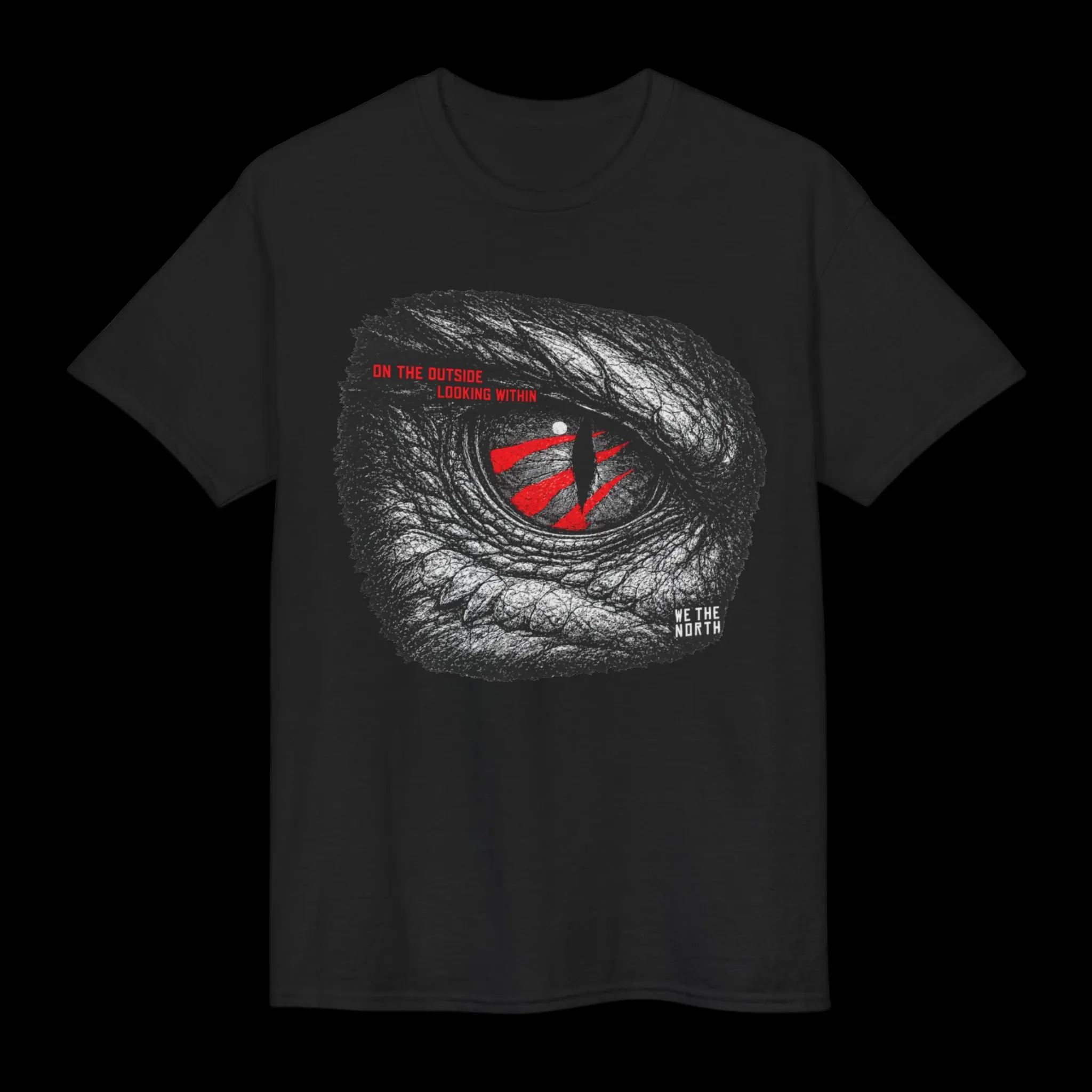 On the Outside Looking Within Toronto Raptors Playoffs Shirt
